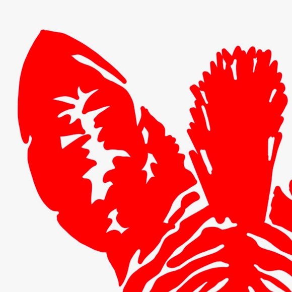 Vibrant Zebra Poster Pink, Red, Blue, Green/ Galantine or Valentine décor, 11x17 - Picture 9 of 13